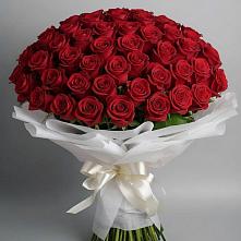 Букет 101 Красная роза Блэк Мэджик в Щучьем Воронежской области