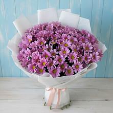 Букет цветов из:  Хризантемы в Щучьем Воронежской области
