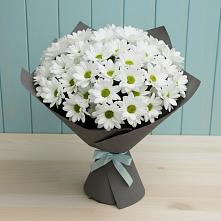 Букет цветов из:  Хризантемы в Щучьем Воронежской области