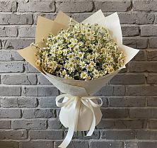 Букет цветов из:  Ромашки #REPLACE_PRED# Щучьем Воронежской области