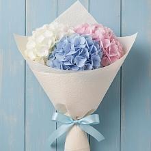 Букет цветов из:  Гортензия в Щучьем Воронежской области