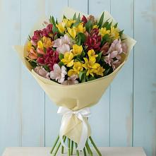 Букет цветов из:  Альстромерии в Щучьем Воронежской области