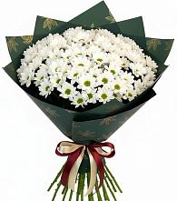 Букет цветов из:  Хризантемы в Щучьем Воронежской области
