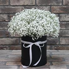 Цветочная композиция из Гипсофила в шляпной коробке в Щучьем Воронежской области