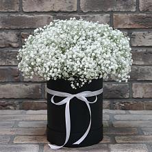Цветочная композиция из Гипсофила в шляпной коробке в Щучьем Воронежской области