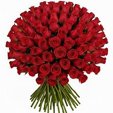 Букет Красные розы Чери Лав в Щучьем Воронежской области