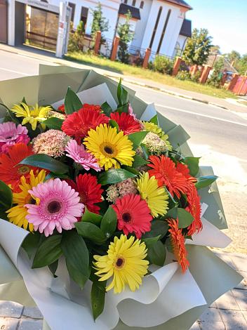 Букет цветов из: Герберы в Щучьем Воронежской области