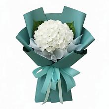 Букет цветов из:  Гортензия в Щучьем Воронежской области